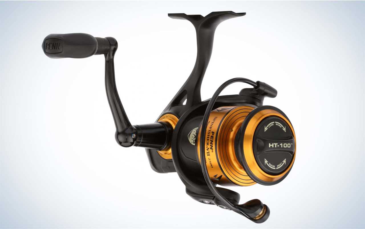 The Best Inshore Spinning Reels of 2024, Tested and Reviewed