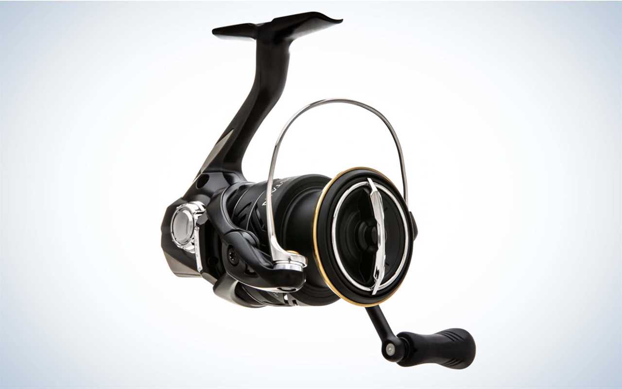 The Best Inshore Spinning Reels of 2024, Tested and Reviewed