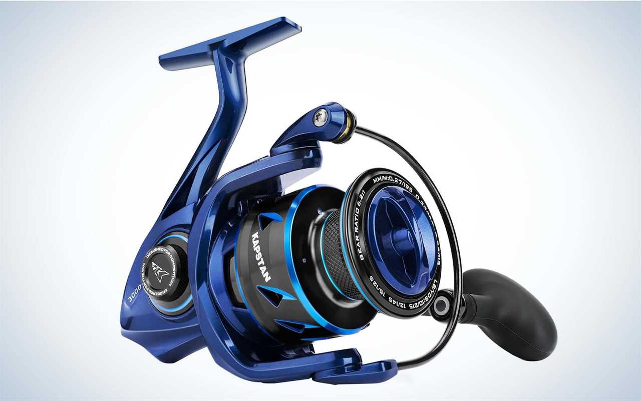 The Best Inshore Spinning Reels of 2024, Tested and Reviewed