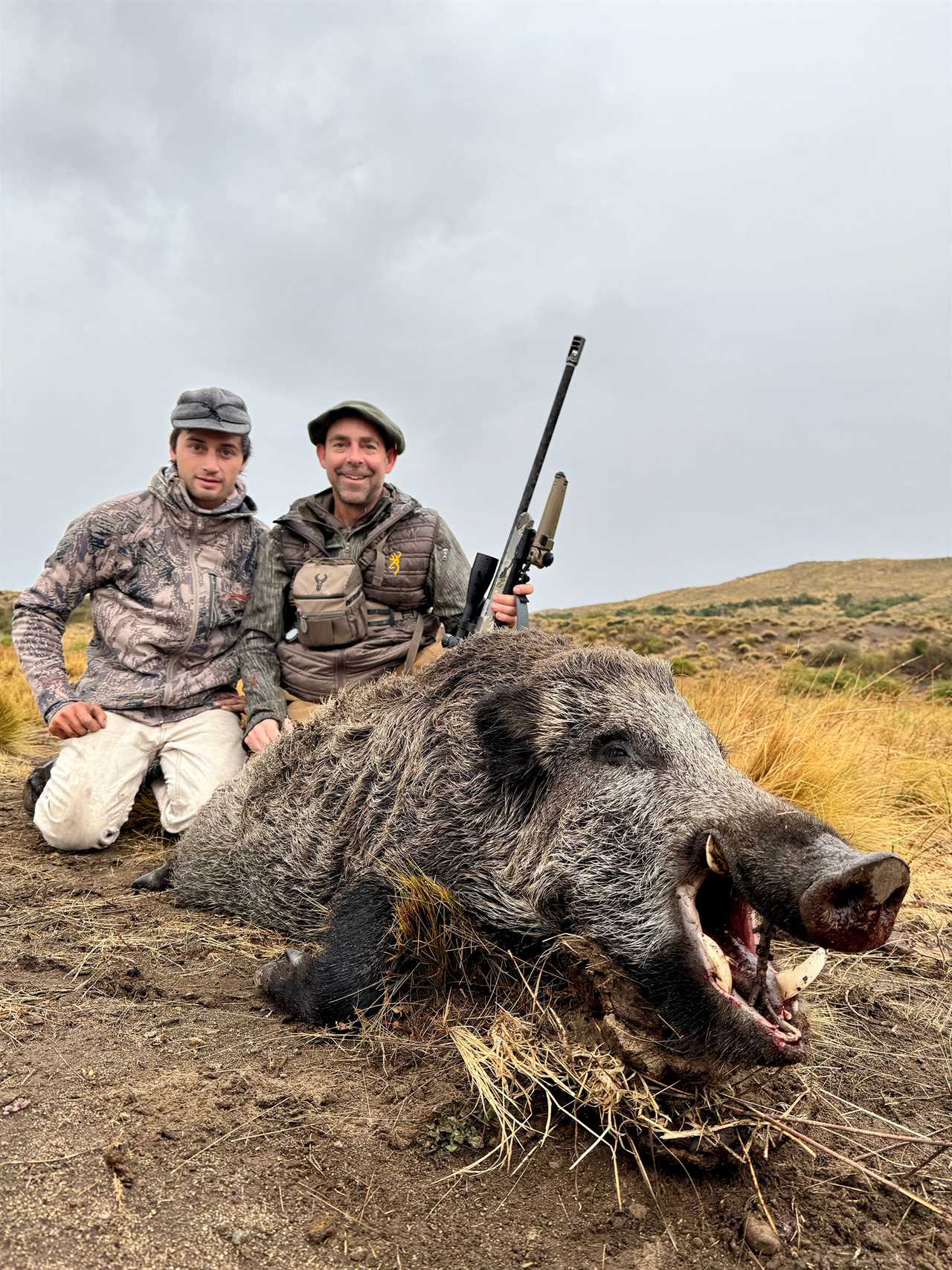 boar argentina