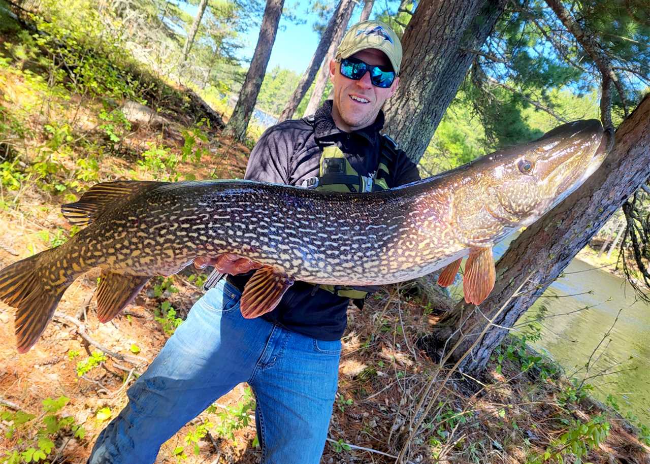 An angler with a big pike.